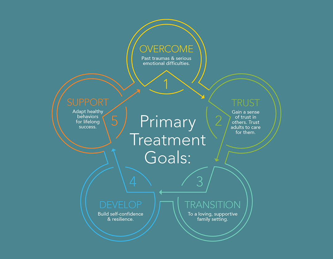 Primary Treatment Goals graphic